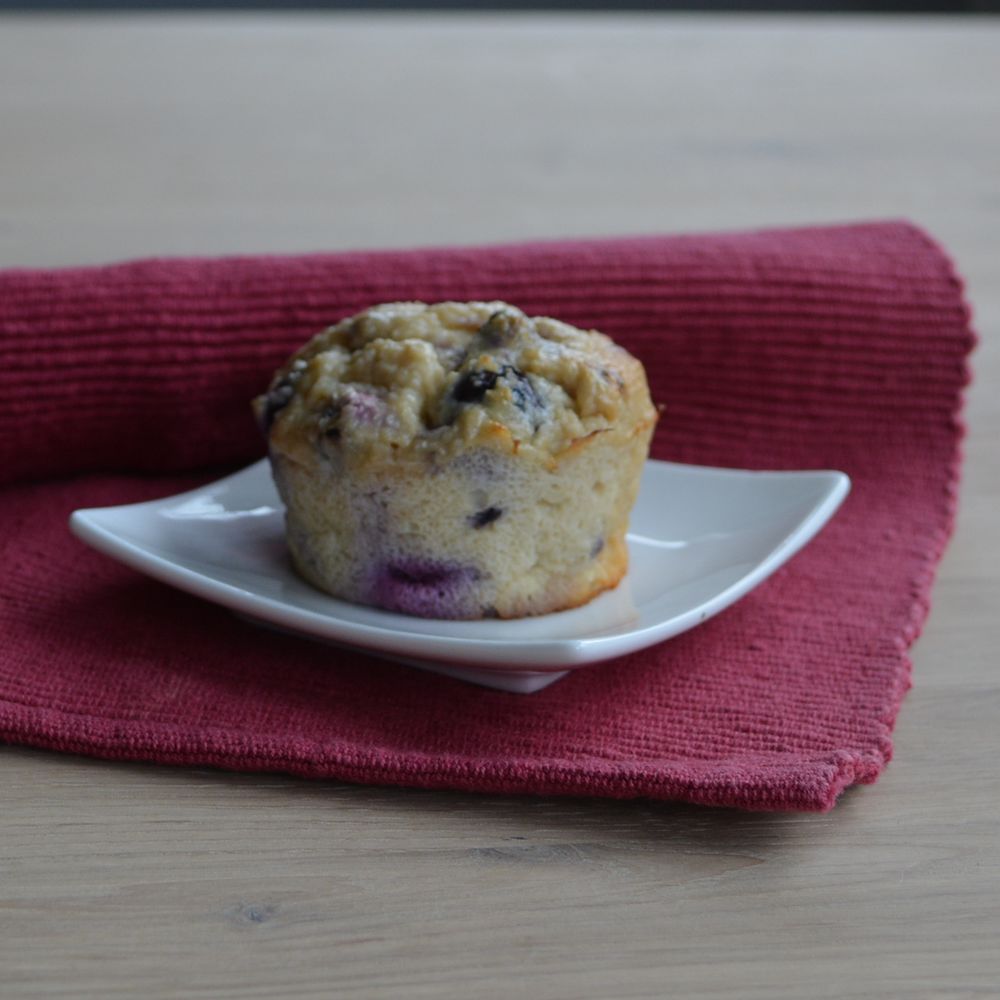 Quark Kokosmehl Muffins (mit Protein)